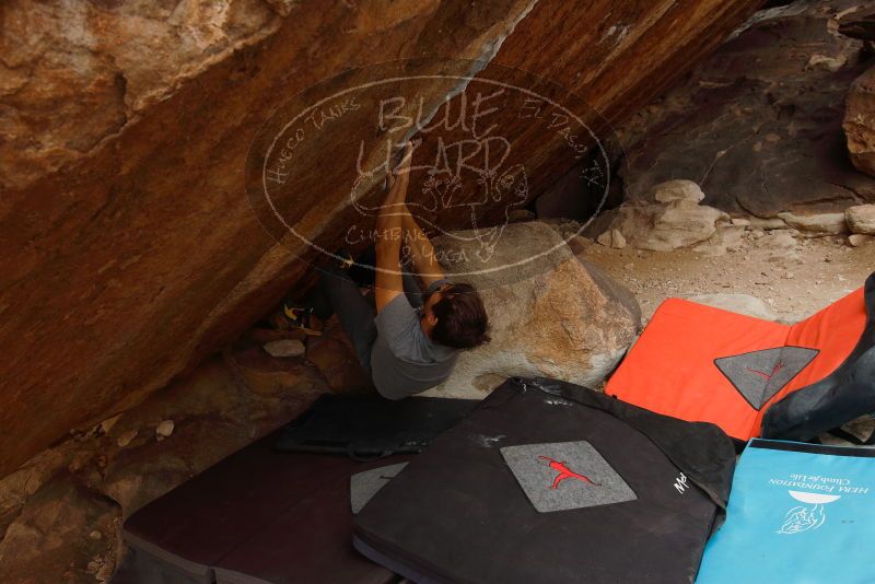 Bouldering in Hueco Tanks on 02/22/2019 with Blue Lizard Climbing and Yoga
Filename: SRM_20190222_1649360.jpg
Aperture: f/5.0
Shutter Speed: 1/250
Body: Canon EOS-1D Mark II
Lens: Canon EF 16-35mm f/2.8 L