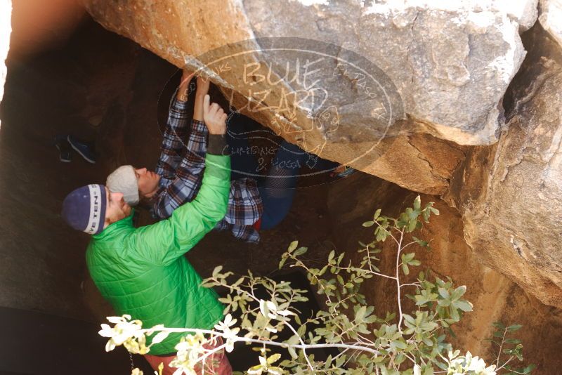 Bouldering in Hueco Tanks on 02/24/2019 with Blue Lizard Climbing and Yoga

Filename: SRM_20190224_1117090.jpg
Aperture: f/4.0
Shutter Speed: 1/250
Body: Canon EOS-1D Mark II
Lens: Canon EF 50mm f/1.8 II