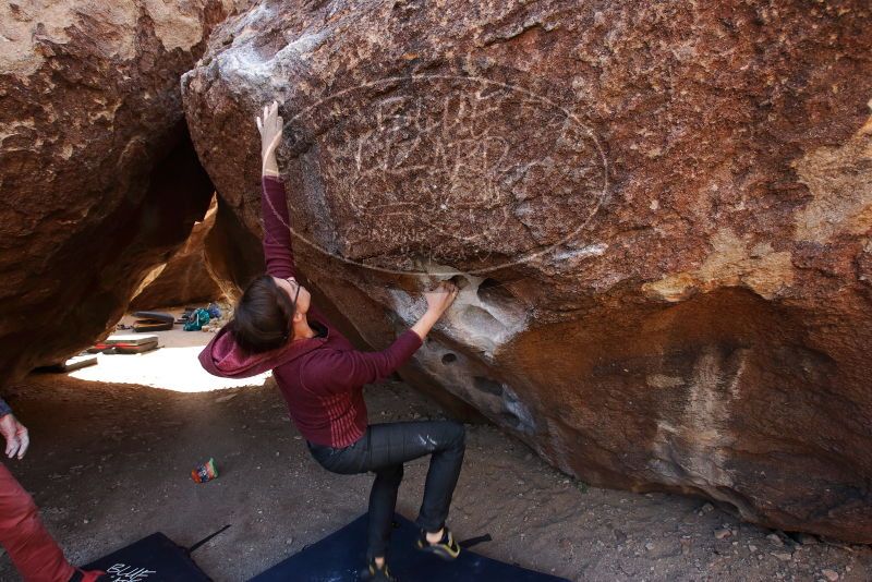 Bouldering in Hueco Tanks on 02/24/2019 with Blue Lizard Climbing and Yoga

Filename: SRM_20190224_1219000.jpg
Aperture: f/5.6
Shutter Speed: 1/320
Body: Canon EOS-1D Mark II
Lens: Canon EF 16-35mm f/2.8 L