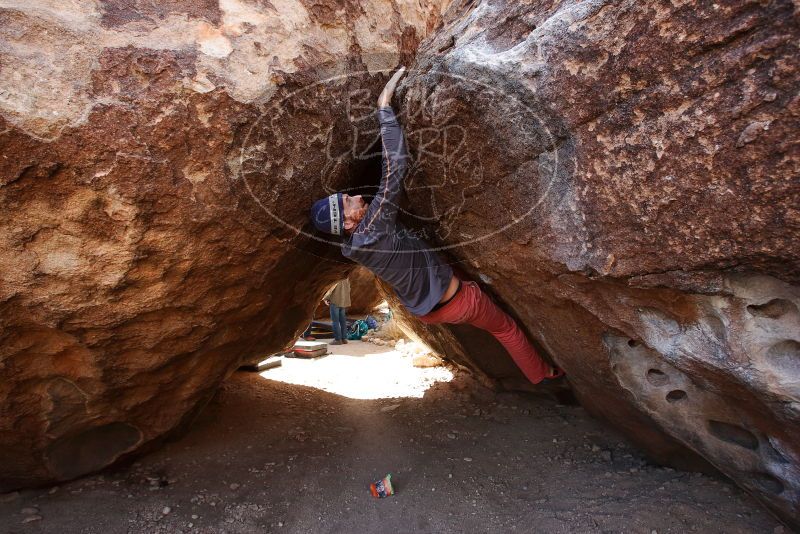 Bouldering in Hueco Tanks on 02/24/2019 with Blue Lizard Climbing and Yoga

Filename: SRM_20190224_1219490.jpg
Aperture: f/5.6
Shutter Speed: 1/320
Body: Canon EOS-1D Mark II
Lens: Canon EF 16-35mm f/2.8 L