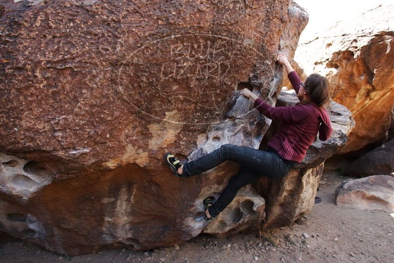 Bouldering in Hueco Tanks on 02/24/2019 with Blue Lizard Climbing and Yoga

Filename: SRM_20190224_1220530.jpg
Aperture: f/5.6
Shutter Speed: 1/320
Body: Canon EOS-1D Mark II
Lens: Canon EF 16-35mm f/2.8 L