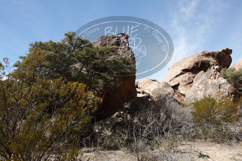 Bouldering in Hueco Tanks on 02/24/2019 with Blue Lizard Climbing and Yoga
Filename: SRM_20190224_1234300.jpg
Aperture: f/5.6
Shutter Speed: 1/640
Body: Canon EOS-1D Mark II
Lens: Canon EF 16-35mm f/2.8 L