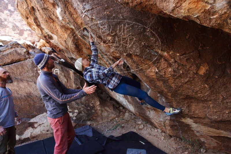 Bouldering in Hueco Tanks on 02/24/2019 with Blue Lizard Climbing and Yoga

Filename: SRM_20190224_1344060.jpg
Aperture: f/5.0
Shutter Speed: 1/200
Body: Canon EOS-1D Mark II
Lens: Canon EF 16-35mm f/2.8 L