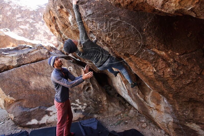 Bouldering in Hueco Tanks on 02/24/2019 with Blue Lizard Climbing and Yoga
Filename: SRM_20190224_1346530.jpg
Aperture: f/5.0
Shutter Speed: 1/250
Body: Canon EOS-1D Mark II
Lens: Canon EF 16-35mm f/2.8 L
