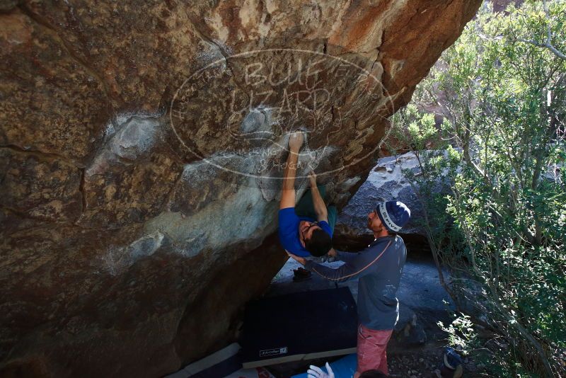 Bouldering in Hueco Tanks on 02/24/2019 with Blue Lizard Climbing and Yoga
Filename: SRM_20190224_1408200.jpg
Aperture: f/5.6
Shutter Speed: 1/320
Body: Canon EOS-1D Mark II
Lens: Canon EF 16-35mm f/2.8 L