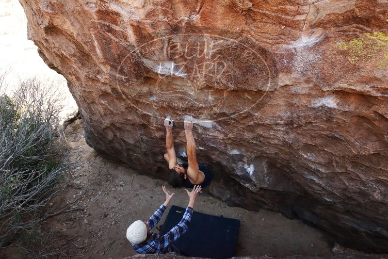 Bouldering in Hueco Tanks on 02/24/2019 with Blue Lizard Climbing and Yoga

Filename: SRM_20190224_1455530.jpg
Aperture: f/5.6
Shutter Speed: 1/250
Body: Canon EOS-1D Mark II
Lens: Canon EF 16-35mm f/2.8 L
