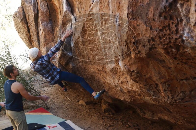 Bouldering in Hueco Tanks on 02/24/2019 with Blue Lizard Climbing and Yoga
Filename: SRM_20190224_1543430.jpg
Aperture: f/4.0
Shutter Speed: 1/250
Body: Canon EOS-1D Mark II
Lens: Canon EF 50mm f/1.8 II