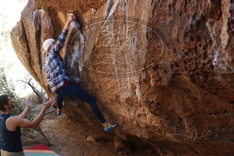 Bouldering in Hueco Tanks on 02/24/2019 with Blue Lizard Climbing and Yoga
Filename: SRM_20190224_1543500.jpg
Aperture: f/4.0
Shutter Speed: 1/320
Body: Canon EOS-1D Mark II
Lens: Canon EF 50mm f/1.8 II