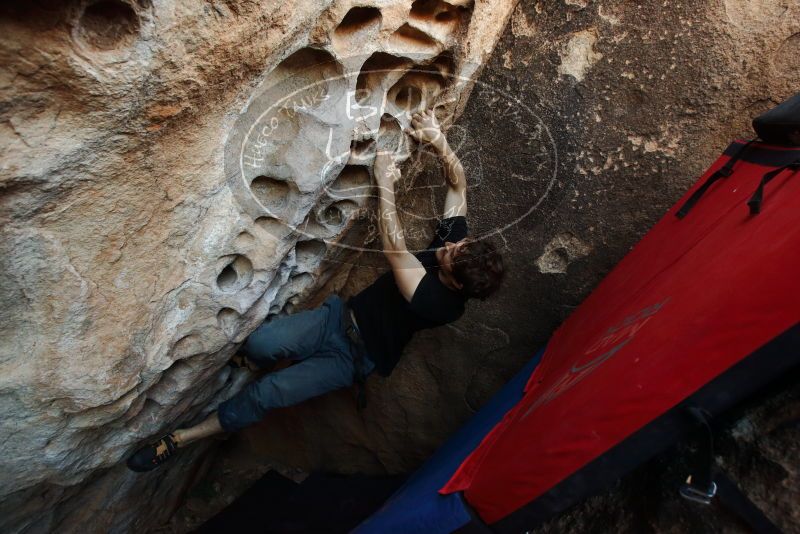 Bouldering in Hueco Tanks on 03/01/2019 with Blue Lizard Climbing and Yoga

Filename: SRM_20190301_1109500.jpg
Aperture: f/5.0
Shutter Speed: 1/200
Body: Canon EOS-1D Mark II
Lens: Canon EF 16-35mm f/2.8 L