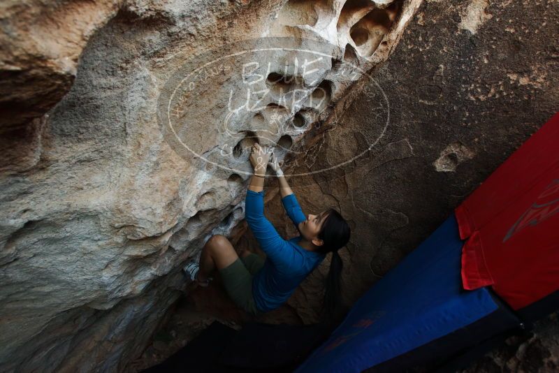 Bouldering in Hueco Tanks on 03/01/2019 with Blue Lizard Climbing and Yoga
Filename: SRM_20190301_1111060.jpg
Aperture: f/5.0
Shutter Speed: 1/160
Body: Canon EOS-1D Mark II
Lens: Canon EF 16-35mm f/2.8 L