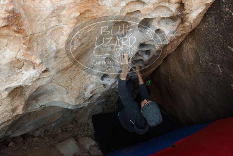 Bouldering in Hueco Tanks on 03/01/2019 with Blue Lizard Climbing and Yoga
Filename: SRM_20190301_1113180.jpg
Aperture: f/5.0
Shutter Speed: 1/125
Body: Canon EOS-1D Mark II
Lens: Canon EF 16-35mm f/2.8 L