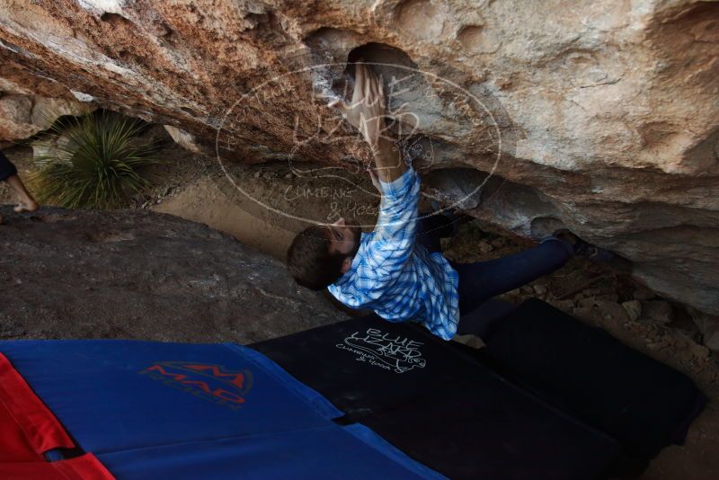 Bouldering in Hueco Tanks on 03/01/2019 with Blue Lizard Climbing and Yoga
Filename: SRM_20190301_1118310.jpg
Aperture: f/5.0
Shutter Speed: 1/200
Body: Canon EOS-1D Mark II
Lens: Canon EF 16-35mm f/2.8 L