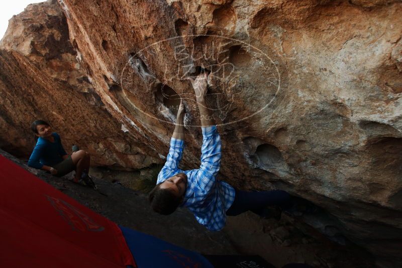Bouldering in Hueco Tanks on 03/01/2019 with Blue Lizard Climbing and Yoga

Filename: SRM_20190301_1118410.jpg
Aperture: f/5.6
Shutter Speed: 1/400
Body: Canon EOS-1D Mark II
Lens: Canon EF 16-35mm f/2.8 L