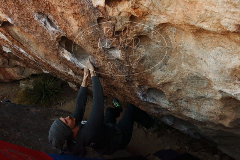 Bouldering in Hueco Tanks on 03/01/2019 with Blue Lizard Climbing and Yoga

Filename: SRM_20190301_1124180.jpg
Aperture: f/5.6
Shutter Speed: 1/250
Body: Canon EOS-1D Mark II
Lens: Canon EF 16-35mm f/2.8 L