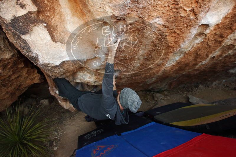 Bouldering in Hueco Tanks on 03/01/2019 with Blue Lizard Climbing and Yoga
Filename: SRM_20190301_1145010.jpg
Aperture: f/5.0
Shutter Speed: 1/160
Body: Canon EOS-1D Mark II
Lens: Canon EF 16-35mm f/2.8 L