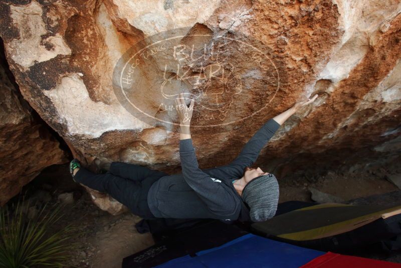 Bouldering in Hueco Tanks on 03/01/2019 with Blue Lizard Climbing and Yoga
Filename: SRM_20190301_1145040.jpg
Aperture: f/5.0
Shutter Speed: 1/200
Body: Canon EOS-1D Mark II
Lens: Canon EF 16-35mm f/2.8 L