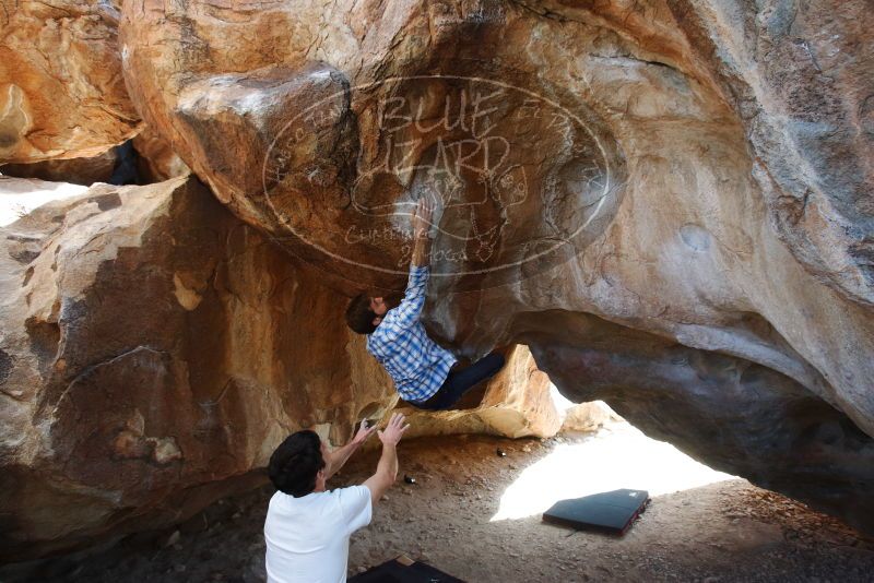 Bouldering in Hueco Tanks on 03/01/2019 with Blue Lizard Climbing and Yoga
Filename: SRM_20190301_1238210.jpg
Aperture: f/5.0
Shutter Speed: 1/250
Body: Canon EOS-1D Mark II
Lens: Canon EF 16-35mm f/2.8 L