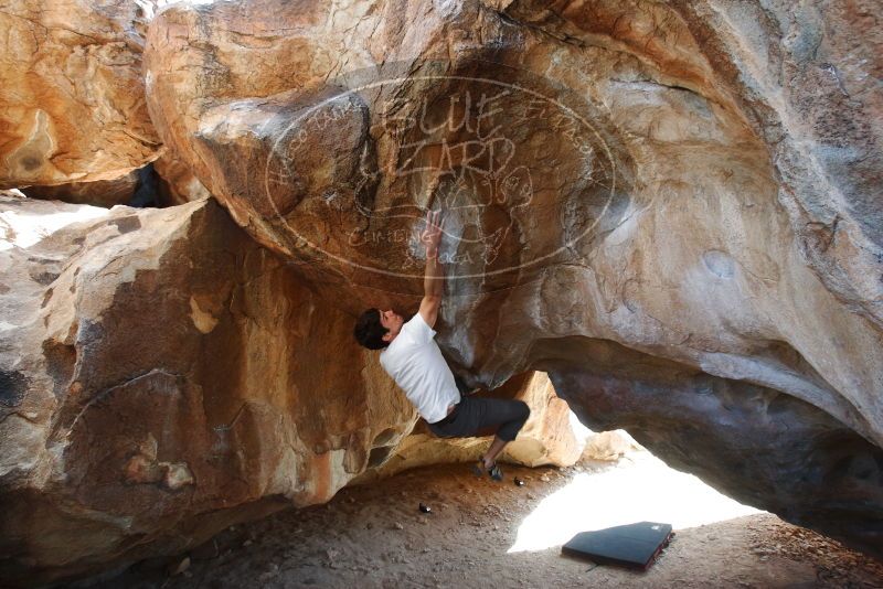 Bouldering in Hueco Tanks on 03/01/2019 with Blue Lizard Climbing and Yoga
Filename: SRM_20190301_1238500.jpg
Aperture: f/5.0
Shutter Speed: 1/250
Body: Canon EOS-1D Mark II
Lens: Canon EF 16-35mm f/2.8 L