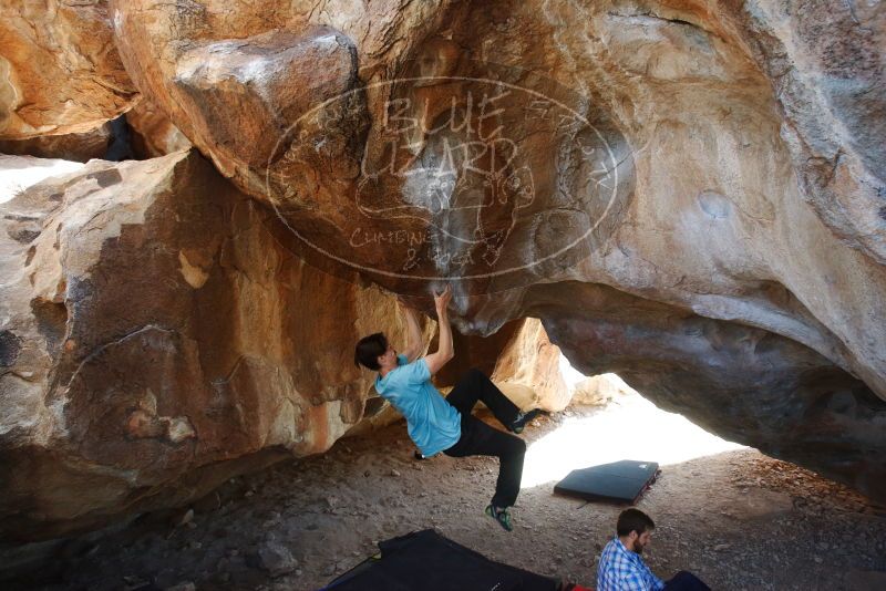 Bouldering in Hueco Tanks on 03/01/2019 with Blue Lizard Climbing and Yoga
Filename: SRM_20190301_1243340.jpg
Aperture: f/5.0
Shutter Speed: 1/250
Body: Canon EOS-1D Mark II
Lens: Canon EF 16-35mm f/2.8 L