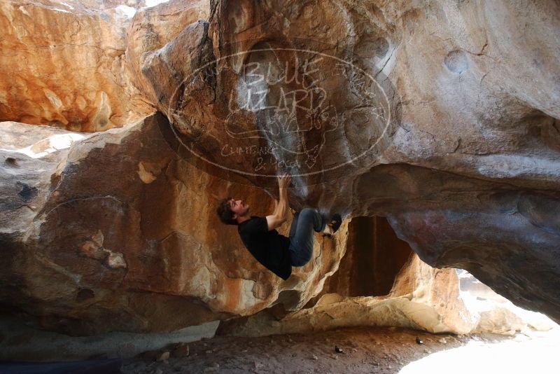 Bouldering in Hueco Tanks on 03/01/2019 with Blue Lizard Climbing and Yoga
Filename: SRM_20190301_1253000.jpg
Aperture: f/5.0
Shutter Speed: 1/200
Body: Canon EOS-1D Mark II
Lens: Canon EF 16-35mm f/2.8 L