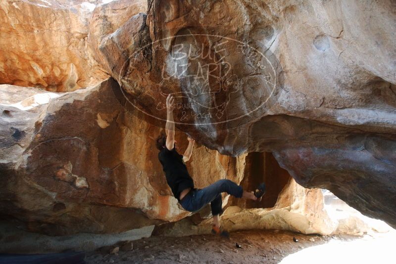 Bouldering in Hueco Tanks on 03/01/2019 with Blue Lizard Climbing and Yoga
Filename: SRM_20190301_1253010.jpg
Aperture: f/5.0
Shutter Speed: 1/160
Body: Canon EOS-1D Mark II
Lens: Canon EF 16-35mm f/2.8 L