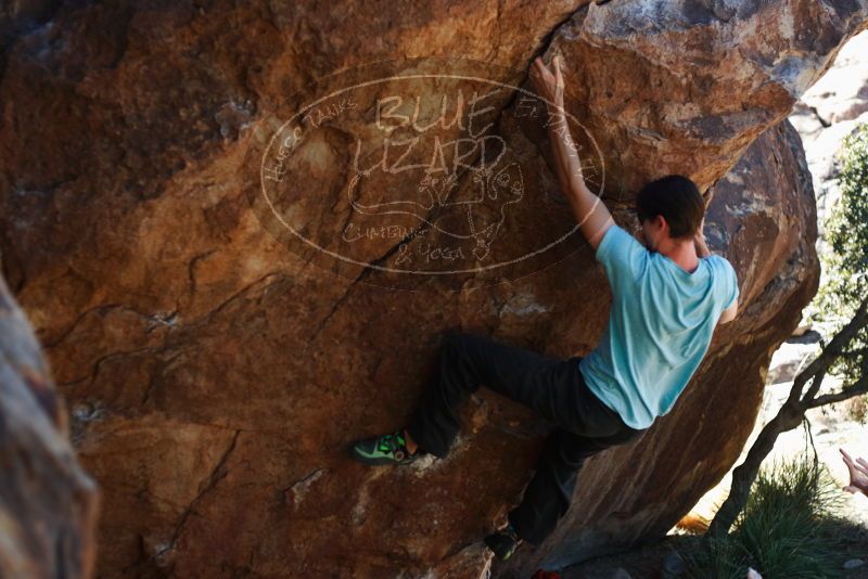 Bouldering in Hueco Tanks on 03/01/2019 with Blue Lizard Climbing and Yoga
Filename: SRM_20190301_1337110.jpg
Aperture: f/2.8
Shutter Speed: 1/800
Body: Canon EOS-1D Mark II
Lens: Canon EF 50mm f/1.8 II