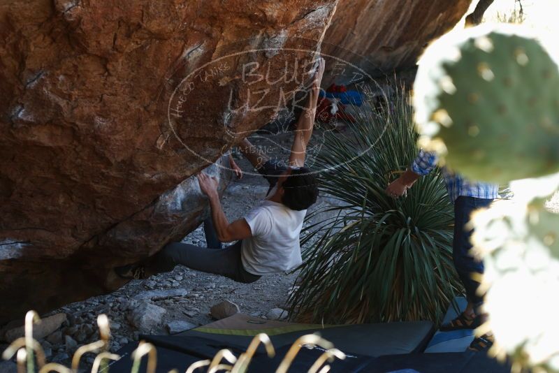 Bouldering in Hueco Tanks on 03/01/2019 with Blue Lizard Climbing and Yoga
Filename: SRM_20190301_1342100.jpg
Aperture: f/3.5
Shutter Speed: 1/200
Body: Canon EOS-1D Mark II
Lens: Canon EF 50mm f/1.8 II