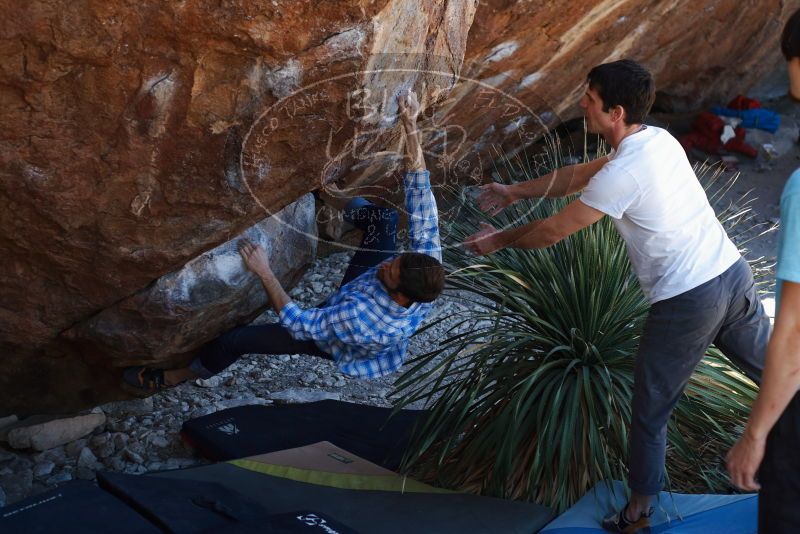 Bouldering in Hueco Tanks on 03/01/2019 with Blue Lizard Climbing and Yoga

Filename: SRM_20190301_1344050.jpg
Aperture: f/3.5
Shutter Speed: 1/200
Body: Canon EOS-1D Mark II
Lens: Canon EF 50mm f/1.8 II