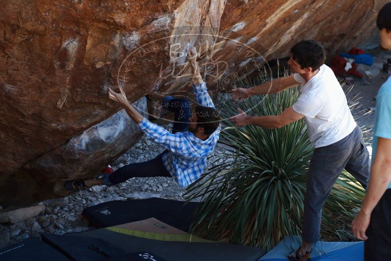 Bouldering in Hueco Tanks on 03/01/2019 with Blue Lizard Climbing and Yoga
Filename: SRM_20190301_1344060.jpg
Aperture: f/3.5
Shutter Speed: 1/160
Body: Canon EOS-1D Mark II
Lens: Canon EF 50mm f/1.8 II