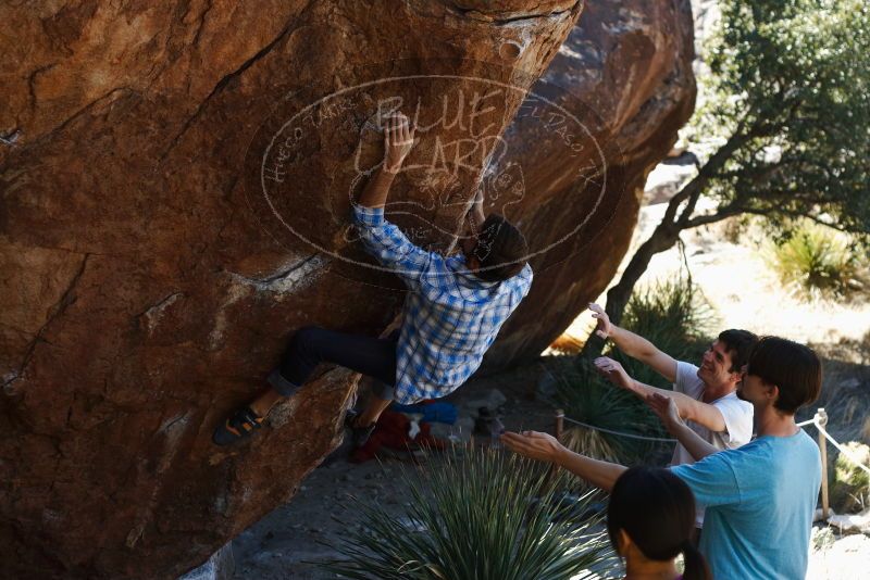 Bouldering in Hueco Tanks on 03/01/2019 with Blue Lizard Climbing and Yoga
Filename: SRM_20190301_1344370.jpg
Aperture: f/3.5
Shutter Speed: 1/320
Body: Canon EOS-1D Mark II
Lens: Canon EF 50mm f/1.8 II