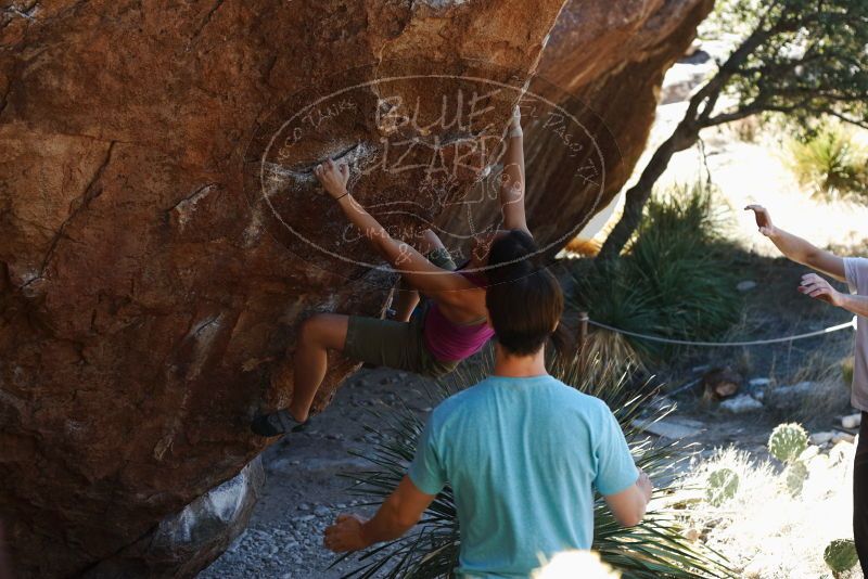 Bouldering in Hueco Tanks on 03/01/2019 with Blue Lizard Climbing and Yoga
Filename: SRM_20190301_1347360.jpg
Aperture: f/3.5
Shutter Speed: 1/250
Body: Canon EOS-1D Mark II
Lens: Canon EF 50mm f/1.8 II