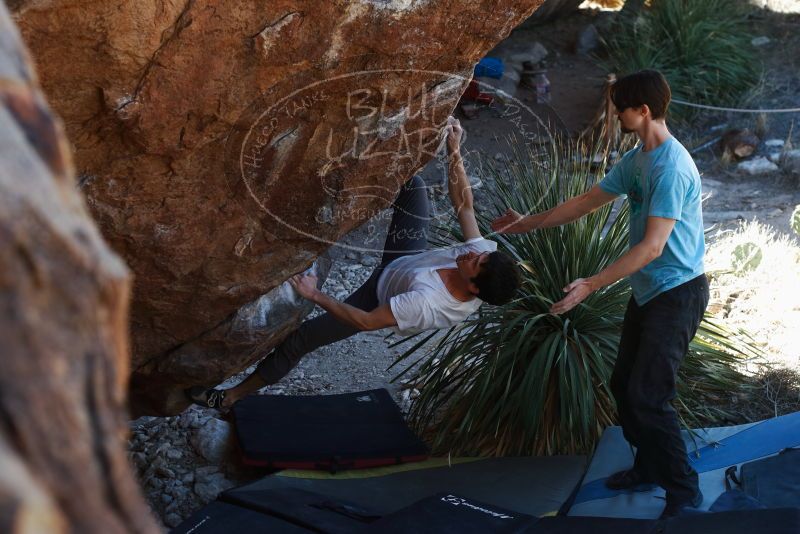 Bouldering in Hueco Tanks on 03/01/2019 with Blue Lizard Climbing and Yoga
Filename: SRM_20190301_1349360.jpg
Aperture: f/3.5
Shutter Speed: 1/200
Body: Canon EOS-1D Mark II
Lens: Canon EF 50mm f/1.8 II