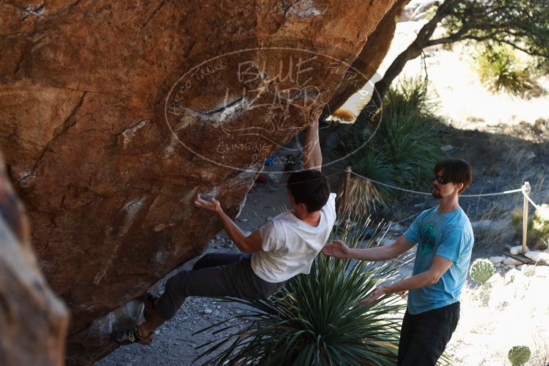 Bouldering in Hueco Tanks on 03/01/2019 with Blue Lizard Climbing and Yoga
Filename: SRM_20190301_1349450.jpg
Aperture: f/3.5
Shutter Speed: 1/250
Body: Canon EOS-1D Mark II
Lens: Canon EF 50mm f/1.8 II