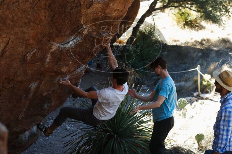 Bouldering in Hueco Tanks on 03/01/2019 with Blue Lizard Climbing and Yoga
Filename: SRM_20190301_1349460.jpg
Aperture: f/3.5
Shutter Speed: 1/250
Body: Canon EOS-1D Mark II
Lens: Canon EF 50mm f/1.8 II