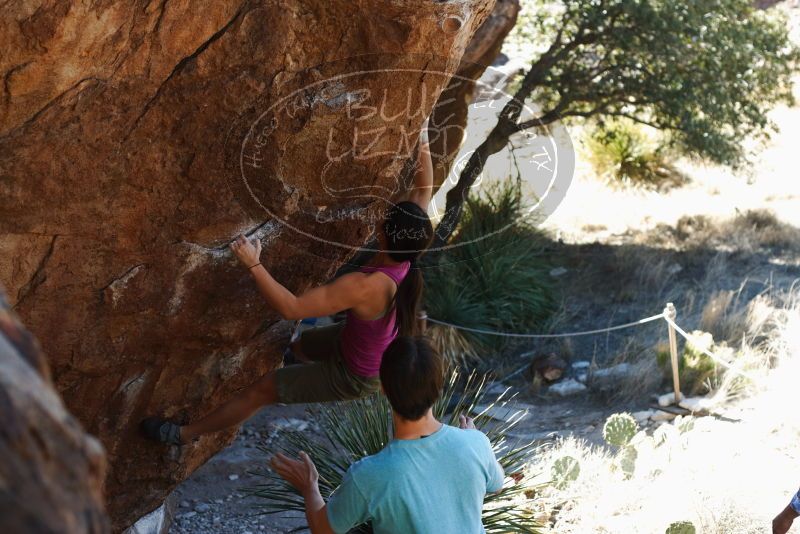 Bouldering in Hueco Tanks on 03/01/2019 with Blue Lizard Climbing and Yoga
Filename: SRM_20190301_1351310.jpg
Aperture: f/3.5
Shutter Speed: 1/250
Body: Canon EOS-1D Mark II
Lens: Canon EF 50mm f/1.8 II