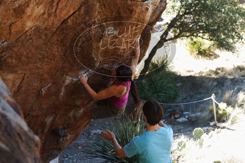 Bouldering in Hueco Tanks on 03/01/2019 with Blue Lizard Climbing and Yoga
Filename: SRM_20190301_1351320.jpg
Aperture: f/3.5
Shutter Speed: 1/250
Body: Canon EOS-1D Mark II
Lens: Canon EF 50mm f/1.8 II