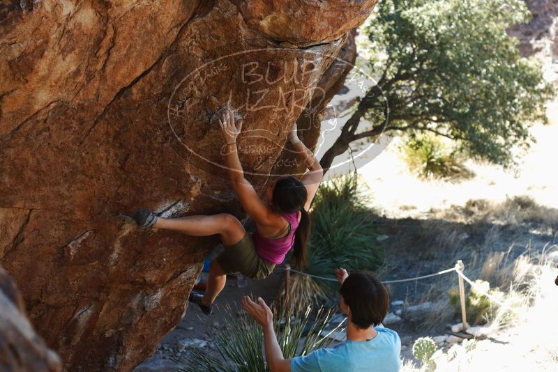 Bouldering in Hueco Tanks on 03/01/2019 with Blue Lizard Climbing and Yoga
Filename: SRM_20190301_1351350.jpg
Aperture: f/3.5
Shutter Speed: 1/250
Body: Canon EOS-1D Mark II
Lens: Canon EF 50mm f/1.8 II