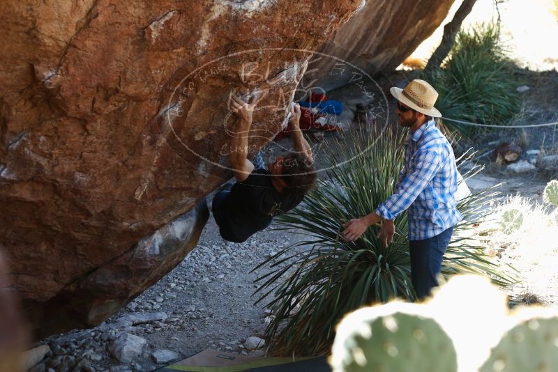 Bouldering in Hueco Tanks on 03/01/2019 with Blue Lizard Climbing and Yoga
Filename: SRM_20190301_1353410.jpg
Aperture: f/3.2
Shutter Speed: 1/200
Body: Canon EOS-1D Mark II
Lens: Canon EF 50mm f/1.8 II