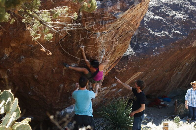Bouldering in Hueco Tanks on 03/01/2019 with Blue Lizard Climbing and Yoga
Filename: SRM_20190301_1401010.jpg
Aperture: f/3.2
Shutter Speed: 1/400
Body: Canon EOS-1D Mark II
Lens: Canon EF 50mm f/1.8 II