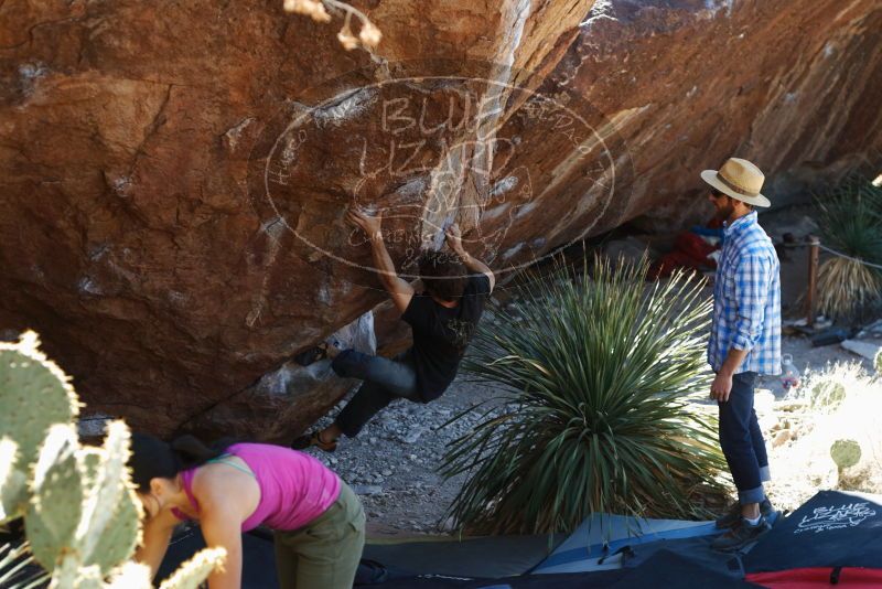 Bouldering in Hueco Tanks on 03/01/2019 with Blue Lizard Climbing and Yoga
Filename: SRM_20190301_1401550.jpg
Aperture: f/3.5
Shutter Speed: 1/200
Body: Canon EOS-1D Mark II
Lens: Canon EF 50mm f/1.8 II