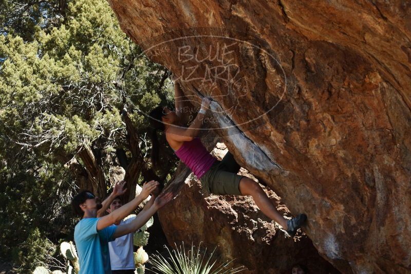 Bouldering in Hueco Tanks on 03/01/2019 with Blue Lizard Climbing and Yoga

Filename: SRM_20190301_1409060.jpg
Aperture: f/4.0
Shutter Speed: 1/500
Body: Canon EOS-1D Mark II
Lens: Canon EF 50mm f/1.8 II