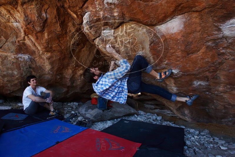 Bouldering in Hueco Tanks on 03/01/2019 with Blue Lizard Climbing and Yoga
Filename: SRM_20190301_1437480.jpg
Aperture: f/4.5
Shutter Speed: 1/320
Body: Canon EOS-1D Mark II
Lens: Canon EF 16-35mm f/2.8 L