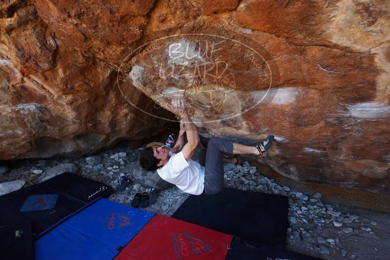 Bouldering in Hueco Tanks on 03/01/2019 with Blue Lizard Climbing and Yoga
Filename: SRM_20190301_1438520.jpg
Aperture: f/4.5
Shutter Speed: 1/250
Body: Canon EOS-1D Mark II
Lens: Canon EF 16-35mm f/2.8 L