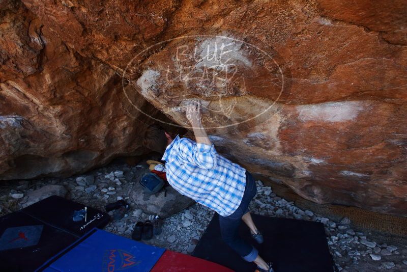 Bouldering in Hueco Tanks on 03/01/2019 with Blue Lizard Climbing and Yoga
Filename: SRM_20190301_1449130.jpg
Aperture: f/5.0
Shutter Speed: 1/250
Body: Canon EOS-1D Mark II
Lens: Canon EF 16-35mm f/2.8 L