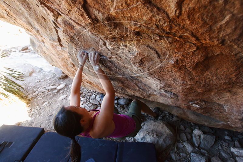 Bouldering in Hueco Tanks on 03/01/2019 with Blue Lizard Climbing and Yoga
Filename: SRM_20190301_1456070.jpg
Aperture: f/5.0
Shutter Speed: 1/125
Body: Canon EOS-1D Mark II
Lens: Canon EF 16-35mm f/2.8 L
