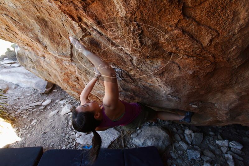 Bouldering in Hueco Tanks on 03/01/2019 with Blue Lizard Climbing and Yoga

Filename: SRM_20190301_1456530.jpg
Aperture: f/5.0
Shutter Speed: 1/200
Body: Canon EOS-1D Mark II
Lens: Canon EF 16-35mm f/2.8 L