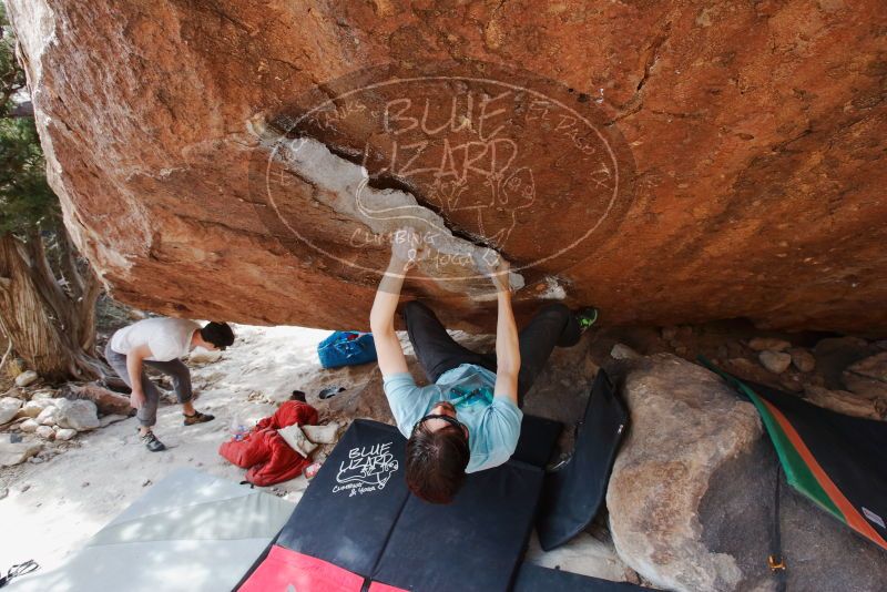 Bouldering in Hueco Tanks on 03/01/2019 with Blue Lizard Climbing and Yoga

Filename: SRM_20190301_1549190.jpg
Aperture: f/5.6
Shutter Speed: 1/250
Body: Canon EOS-1D Mark II
Lens: Canon EF 16-35mm f/2.8 L