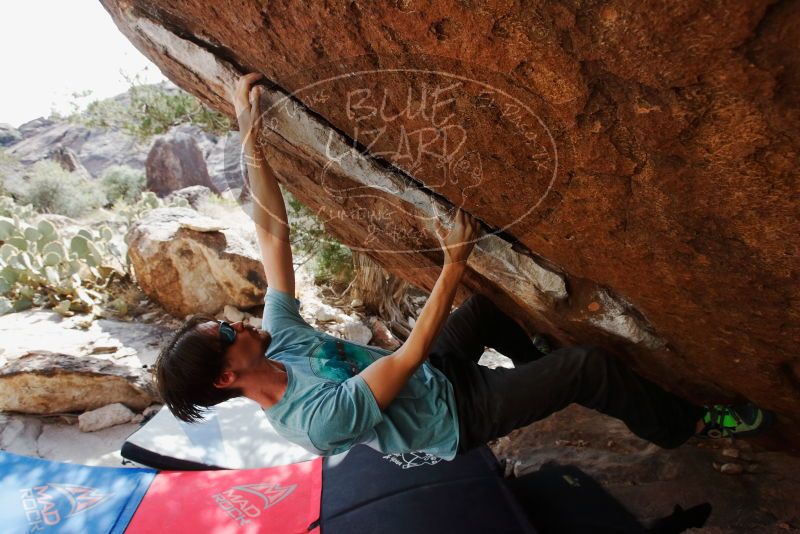 Bouldering in Hueco Tanks on 03/01/2019 with Blue Lizard Climbing and Yoga
Filename: SRM_20190301_1602280.jpg
Aperture: f/5.6
Shutter Speed: 1/800
Body: Canon EOS-1D Mark II
Lens: Canon EF 16-35mm f/2.8 L