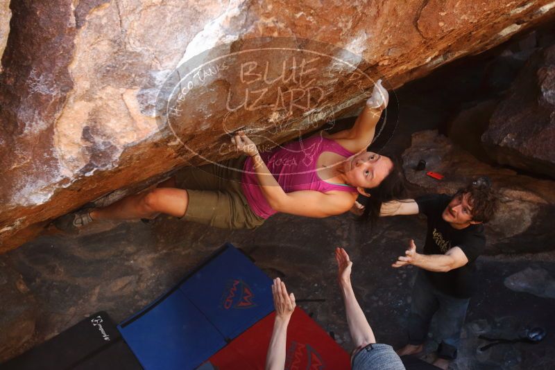 Bouldering in Hueco Tanks on 03/01/2019 with Blue Lizard Climbing and Yoga
Filename: SRM_20190301_1724090.jpg
Aperture: f/5.0
Shutter Speed: 1/250
Body: Canon EOS-1D Mark II
Lens: Canon EF 16-35mm f/2.8 L