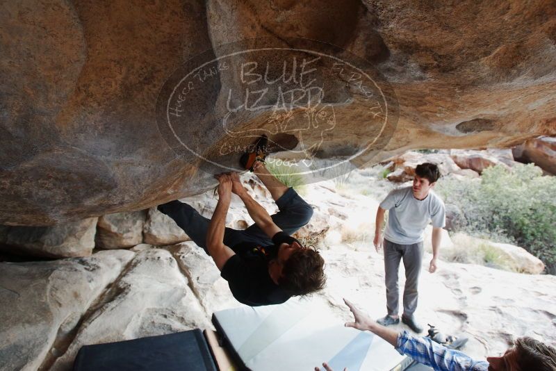 Bouldering in Hueco Tanks on 03/02/2019 with Blue Lizard Climbing and Yoga
Filename: SRM_20190302_1041190.jpg
Aperture: f/5.6
Shutter Speed: 1/400
Body: Canon EOS-1D Mark II
Lens: Canon EF 16-35mm f/2.8 L